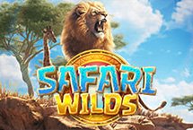 safariwilds